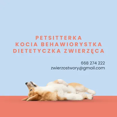 Zwierzostwory Daria Kamińska Opieka nad zwierzętami Piła Dietetyk zwierzęcy Kocia behawiorystka